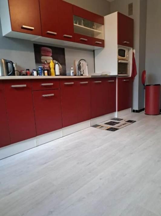 Magnifique Appartement Plein Sud 60 M Carre Limoges Exteriér fotografie